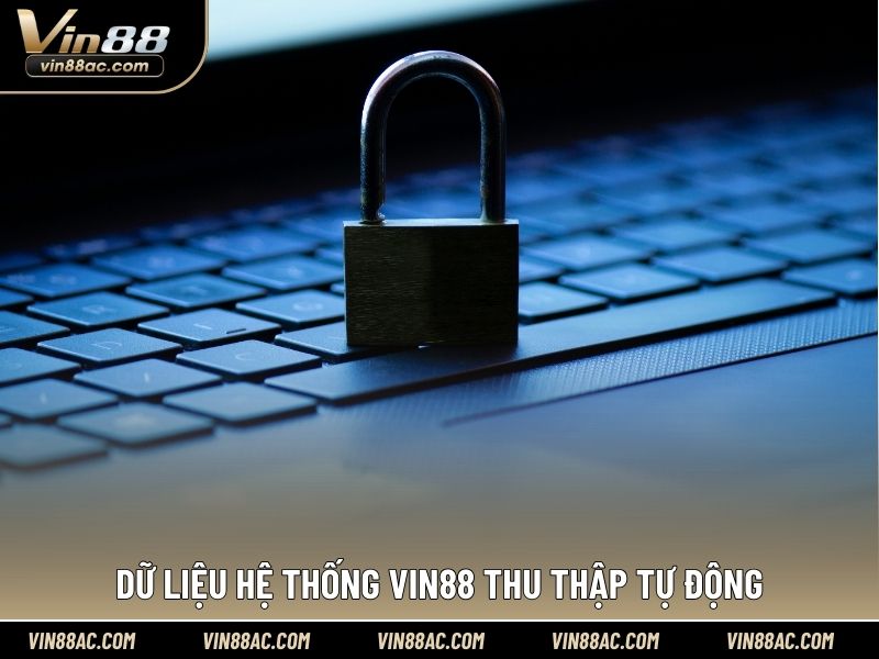 Dữ liệu hệ thống VIN88 thu thập tự động