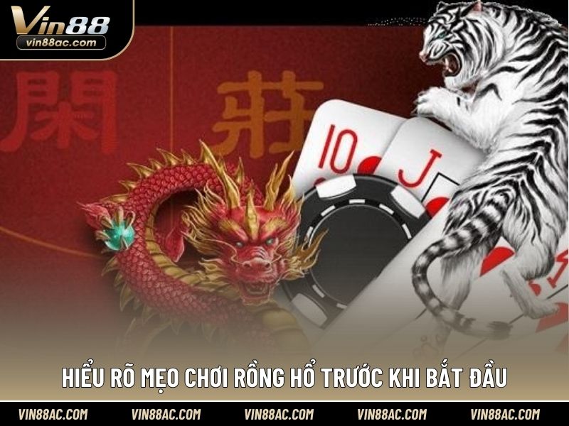 Hiểu rõ mẹo chơi Rồng Hổ trước khi bắt đầu