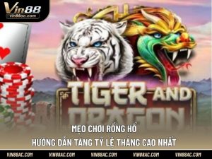 Mẹo chơi rồng hổ